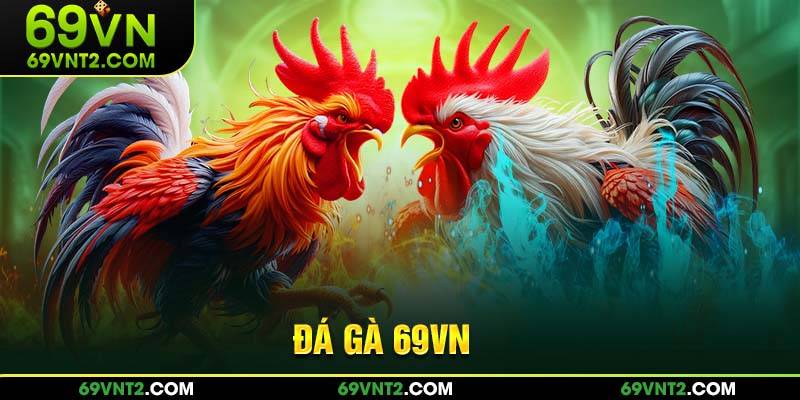 Tổng quan khái quát về đá gà 69VN Tổng quan khái quát về đá gà 69VN